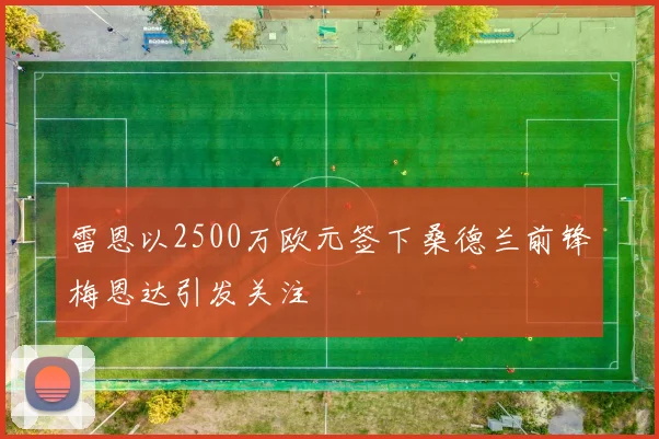 雷恩以2500万欧元签下桑德兰前锋梅恩达引发关注