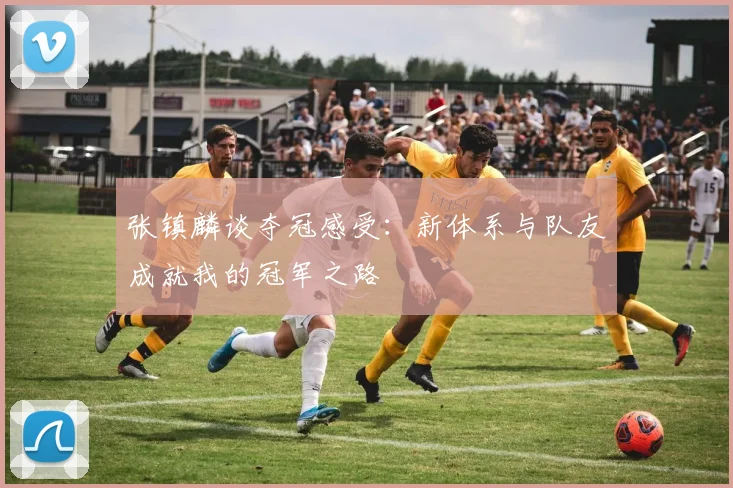 张镇麟谈夺冠感受：新体系与队友成就我的冠军之路